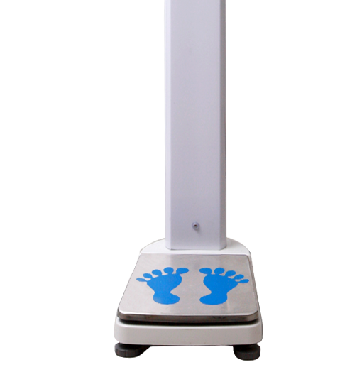 �O����y(c��)�������z�y(c��)